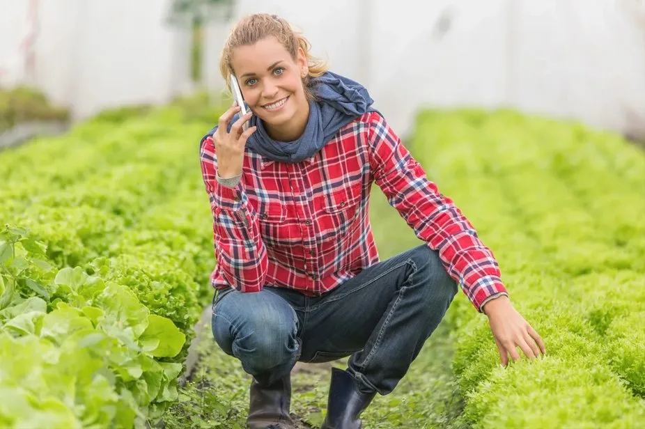 Farm ingredient and product provenance review