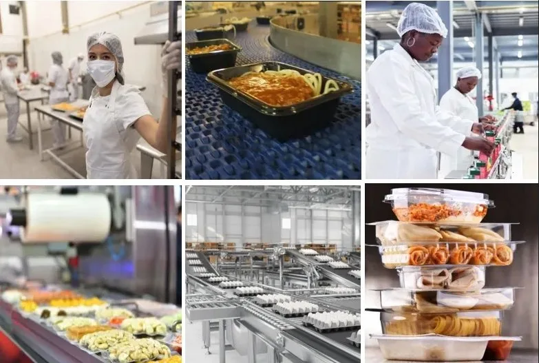Food manufacturing compliance with Digital Product Passport and US food-information requirements